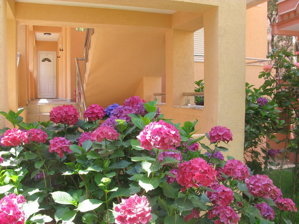 Garni Hotel Koral Budva Luaran gambar