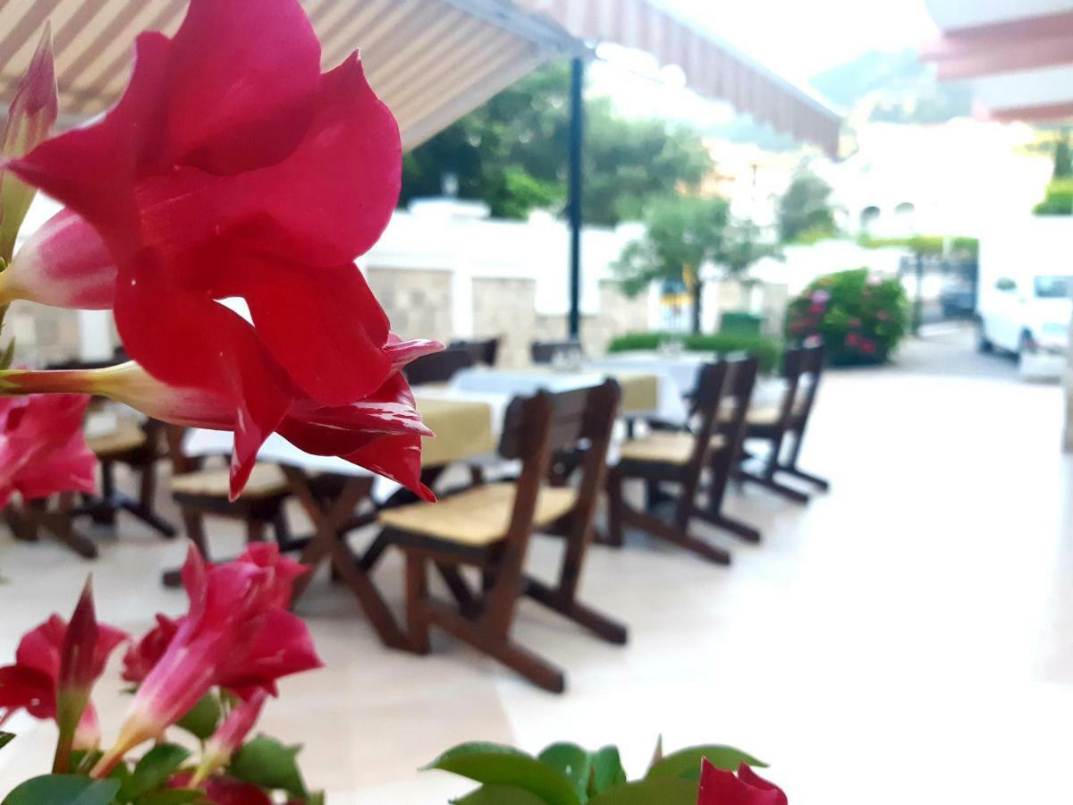 Garni Hotel Koral Budva Luaran gambar
