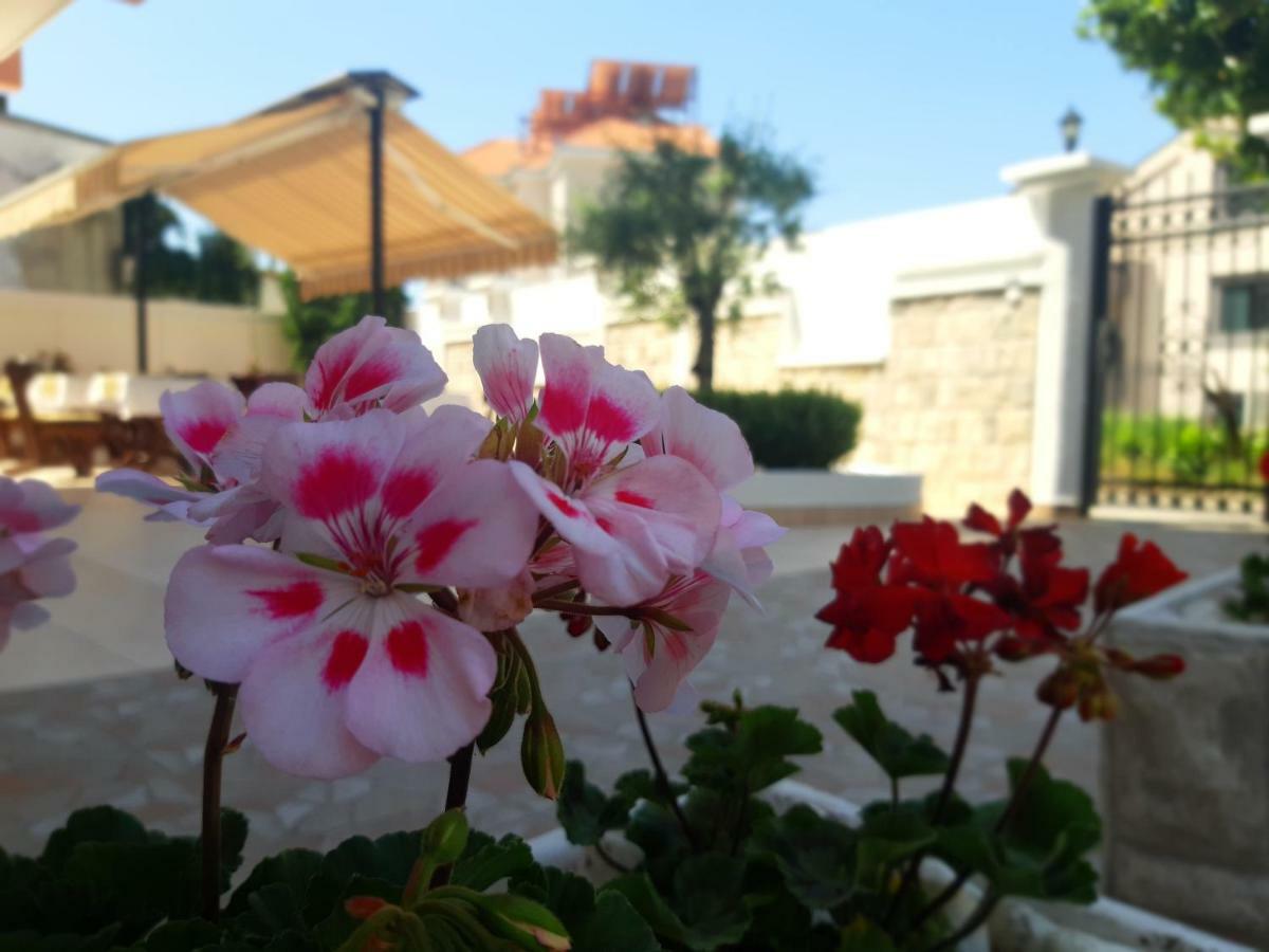 Garni Hotel Koral Budva Luaran gambar
